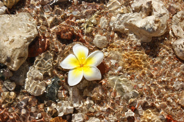 отдых в Шарм-эль-Шейхе в январь